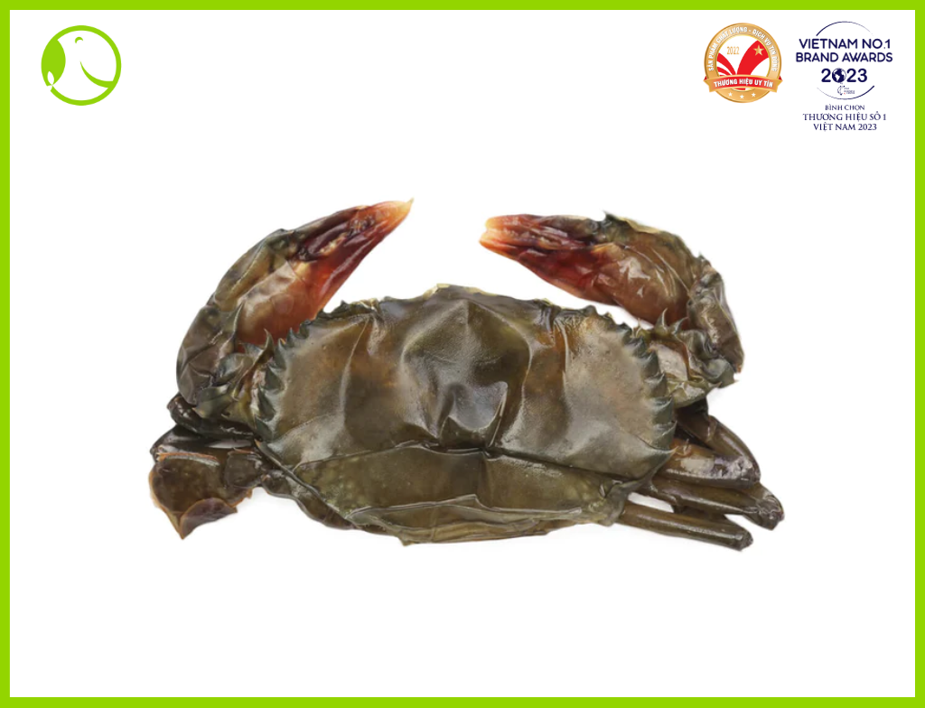 Myanmar Soft Shell Crab