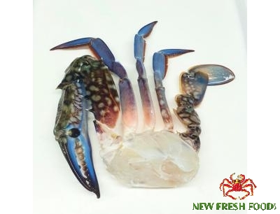 Frozen Blue Swimming Crab Half Cut 11/15