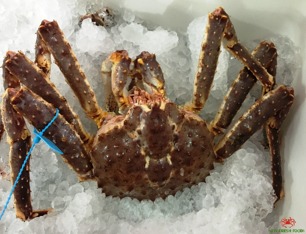 Fresh Canadian King Crab