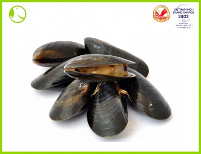 Whole Chilean Black Mussels